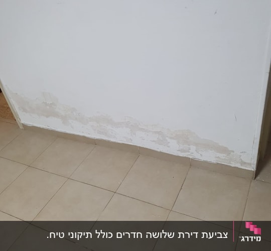 קיר עם קילופי צבע על רצפת אריחים
